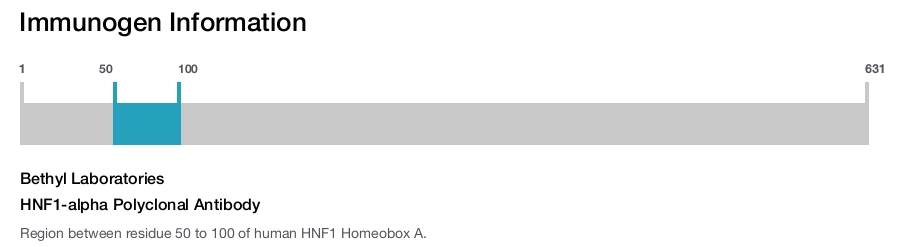 HNF1-alpha Polyclonal Antibody
