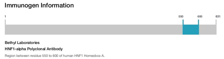 HNF1-alpha Polyclonal Antibody