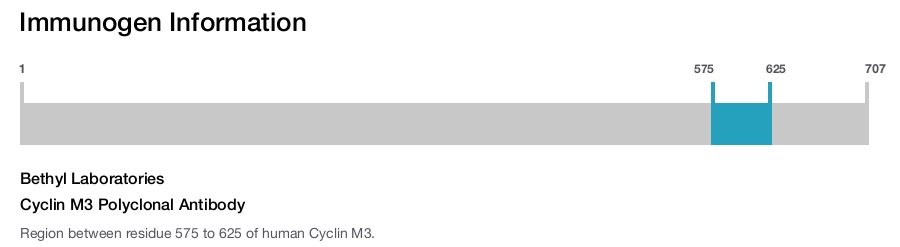 Cyclin M3 Polyclonal Antibody