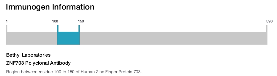 ZNF703 Polyclonal Antibody