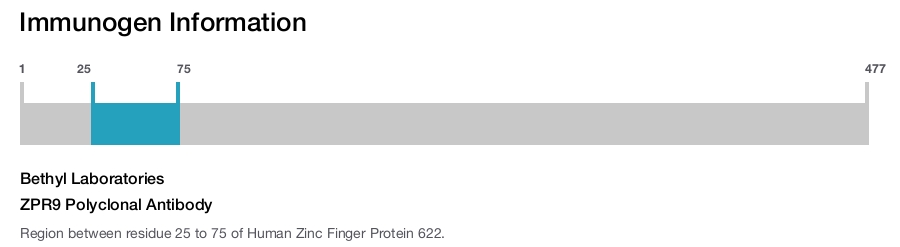ZPR9 Polyclonal Antibody