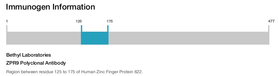ZPR9 Polyclonal Antibody