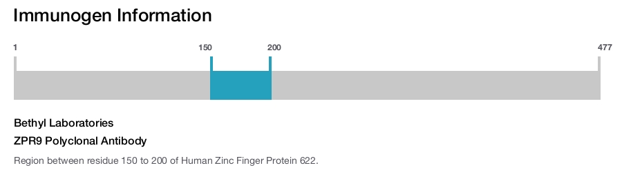 ZPR9 Polyclonal Antibody