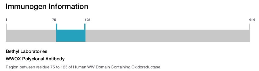 WWOX Polyclonal Antibody