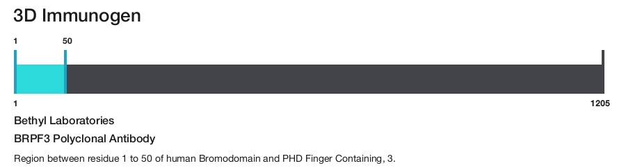 BRPF3 Polyclonal Antibody