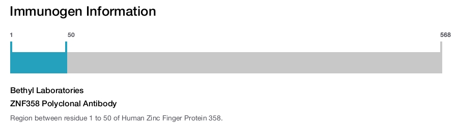 ZNF358 Polyclonal Antibody