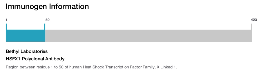 HSFX1 Polyclonal Antibody