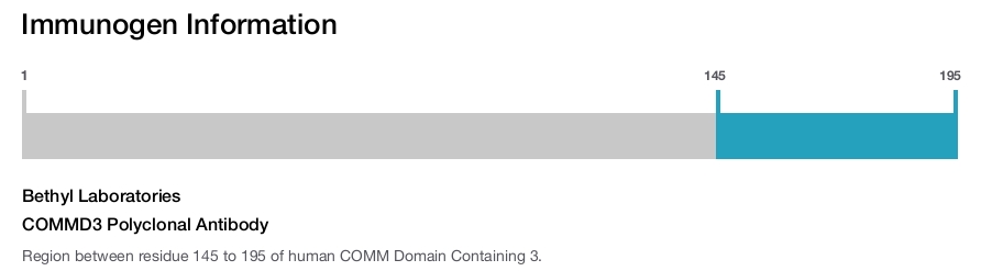 COMMD3 Polyclonal Antibody