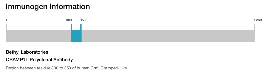 CRAMP1L Polyclonal Antibody