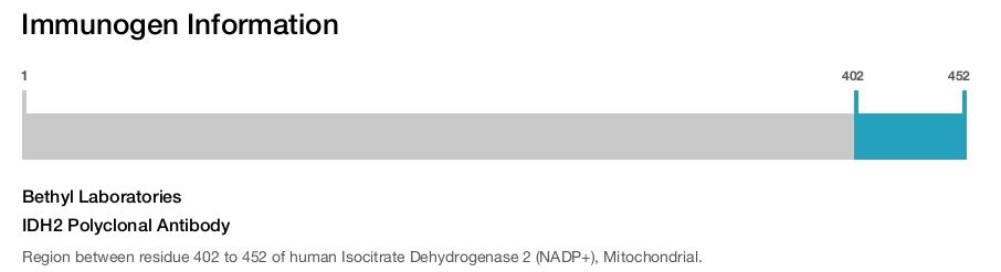 IDH2 Polyclonal Antibody
