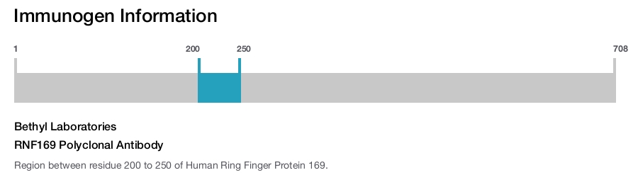 RNF169 Polyclonal Antibody