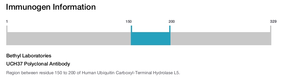 UCH37 Polyclonal Antibody