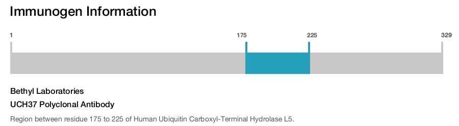 UCH37 Polyclonal Antibody
