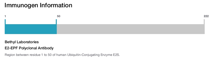 E2-EPF Polyclonal Antibody
