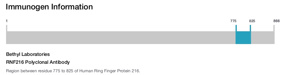RNF216 Polyclonal Antibody