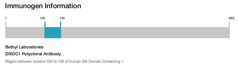 DIXDC1 Polyclonal Antibody