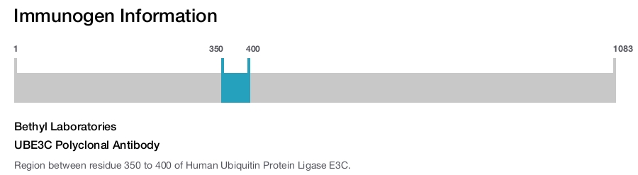 UBE3C Polyclonal Antibody