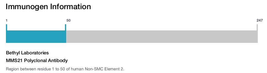 MMS21 Polyclonal Antibody