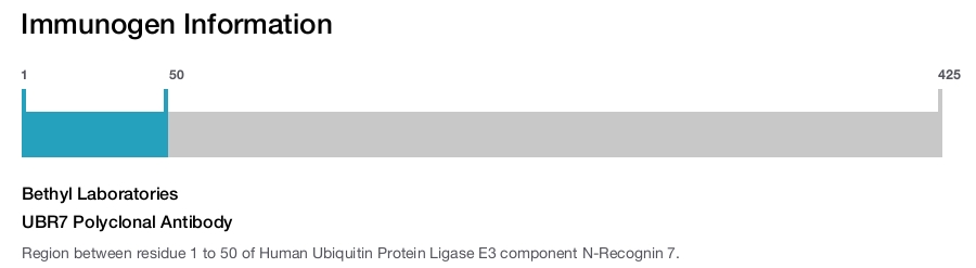 UBR7 Polyclonal Antibody