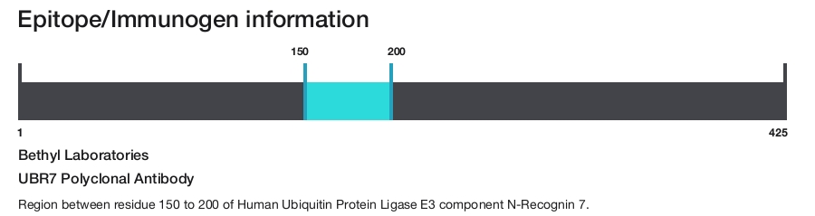 UBR7 Polyclonal Antibody