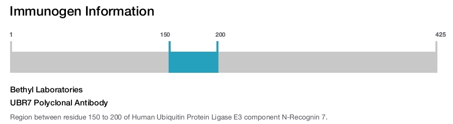UBR7 Polyclonal Antibody