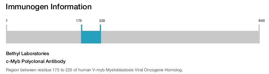 c-Myb Polyclonal Antibody