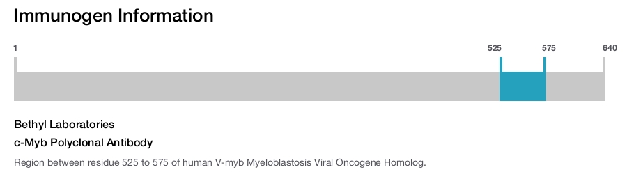 c-Myb Polyclonal Antibody