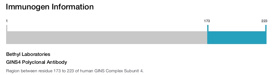 GINS4 Polyclonal Antibody