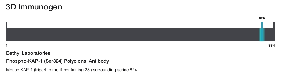 Phospho-KAP-1 (Ser824) Polyclonal Antibody
