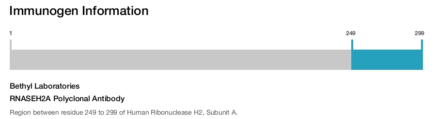 RNASEH2A Polyclonal Antibody