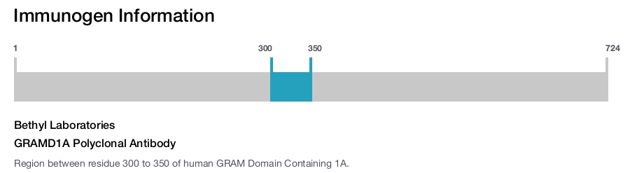 GRAMD1A Polyclonal Antibody