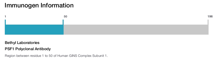 PSF1 Polyclonal Antibody