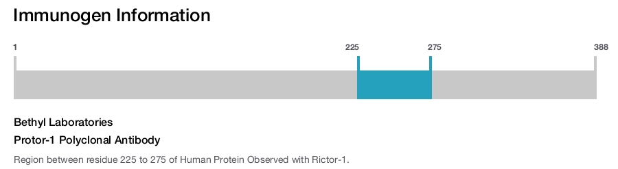 Protor-1 Polyclonal Antibody