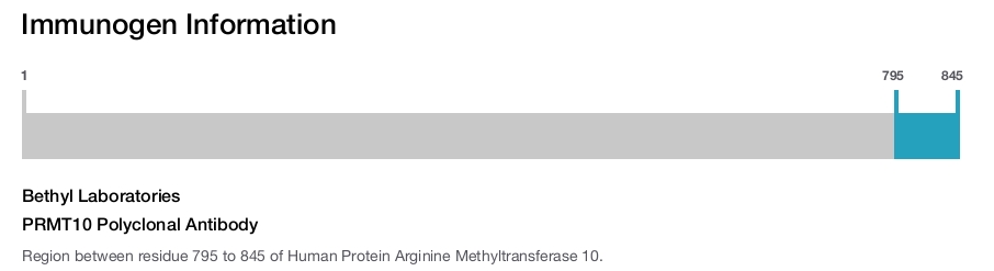 PRMT10 Polyclonal Antibody