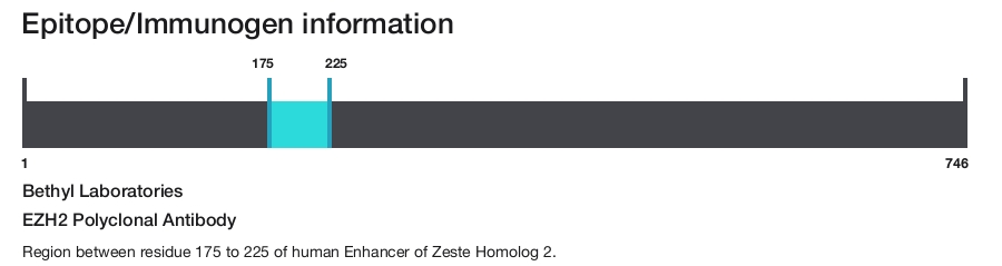EZH2 Polyclonal Antibody