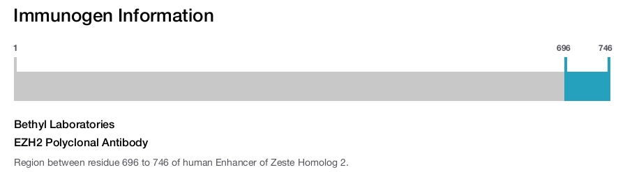 EZH2 Polyclonal Antibody