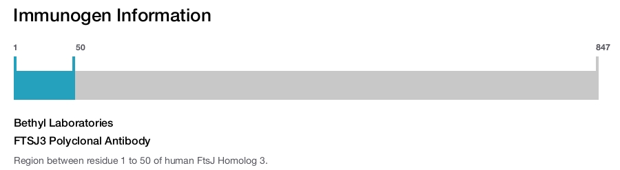 FTSJ3 Polyclonal Antibody