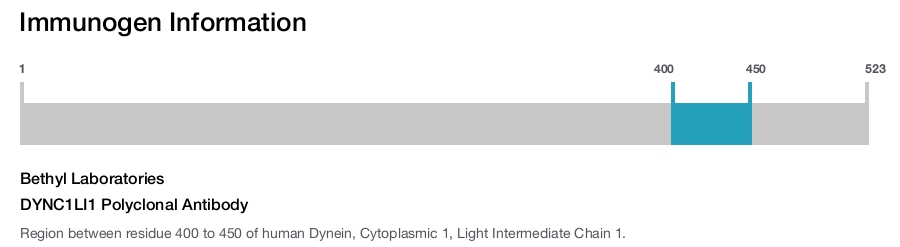 DYNC1LI1 Polyclonal Antibody