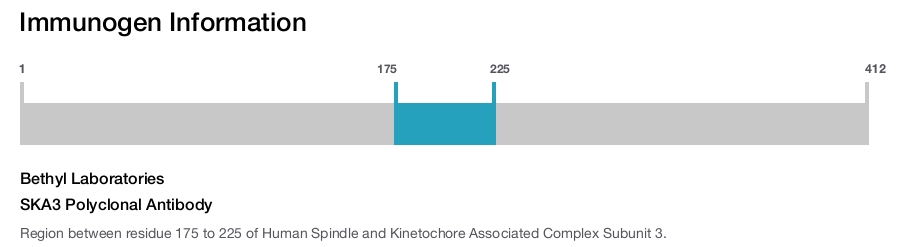 SKA3 Polyclonal Antibody