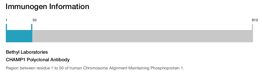 CHAMP1 Polyclonal Antibody