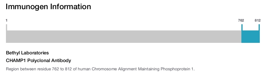 CHAMP1 Polyclonal Antibody