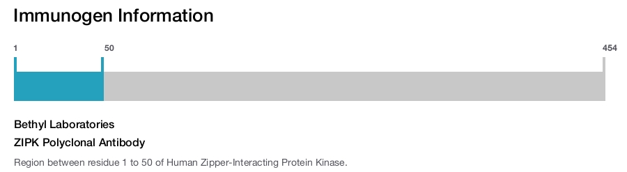 ZIPK Polyclonal Antibody