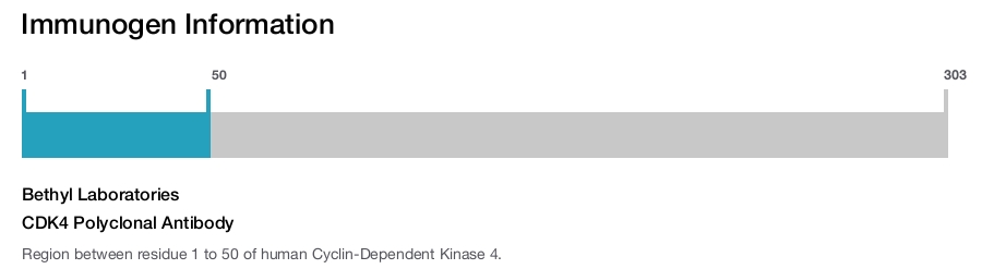 CDK4 Polyclonal Antibody