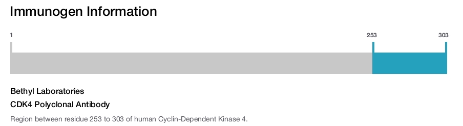 CDK4 Polyclonal Antibody
