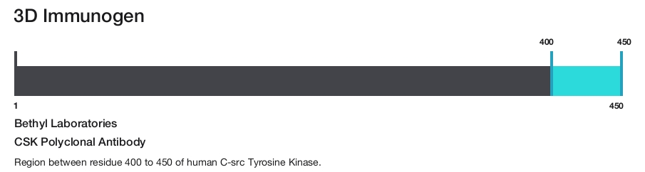 CSK Polyclonal Antibody