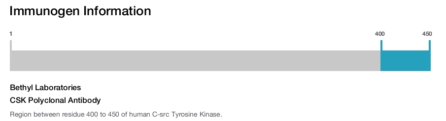 CSK Polyclonal Antibody