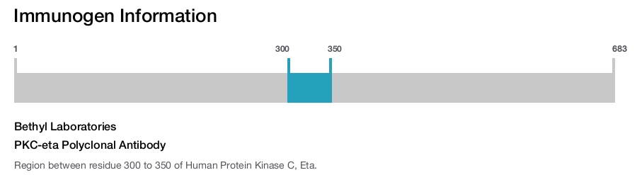 PKC-eta Polyclonal Antibody