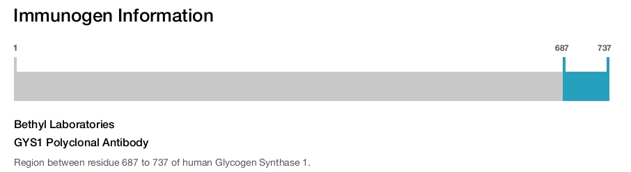 GYS1 Polyclonal Antibody