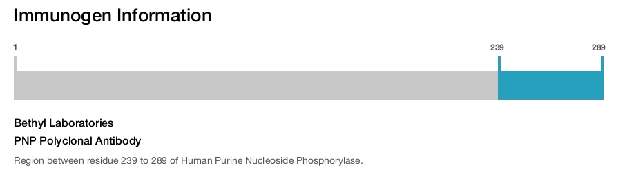 PNP Polyclonal Antibody