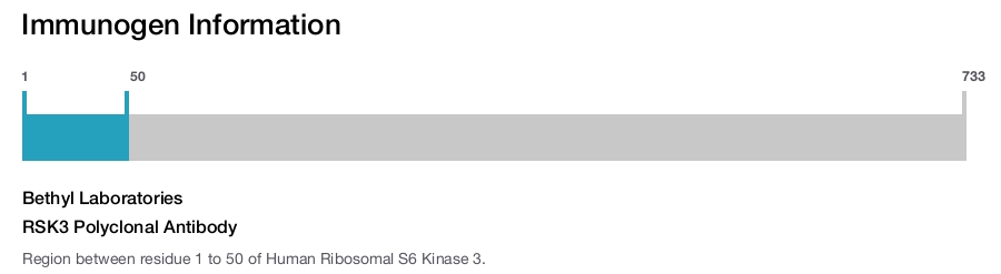 RSK3 Polyclonal Antibody